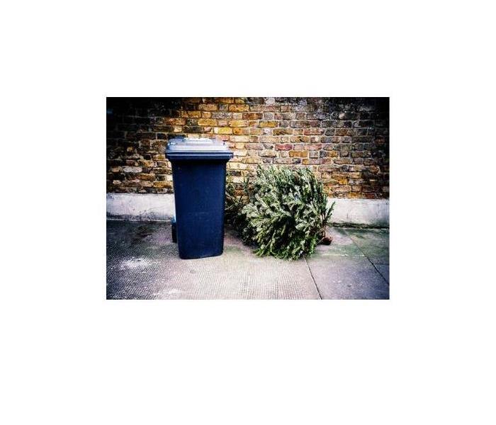 Christmas Tree by recycle bin